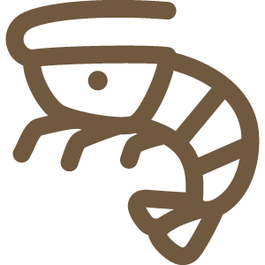 アレルギー原材料 えび